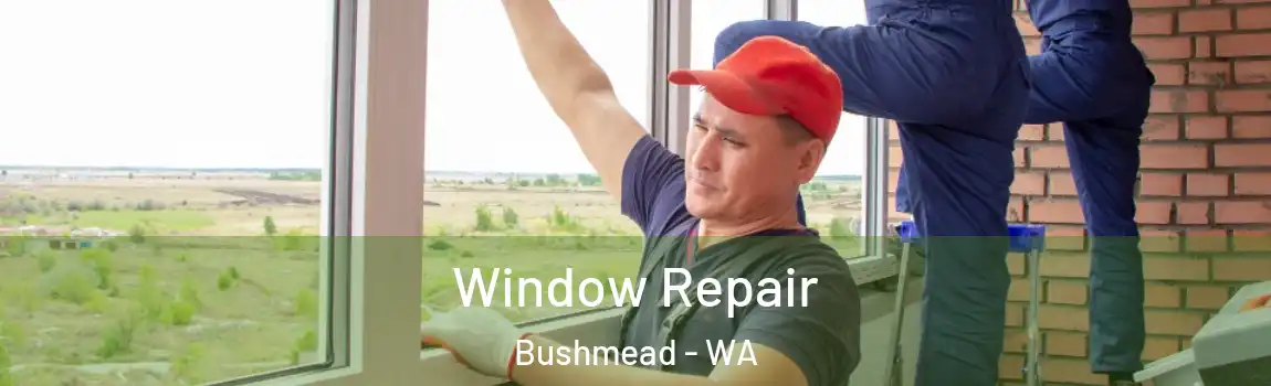 Window Repair Bushmead - WA