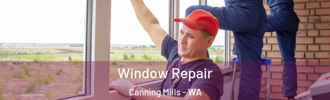 Window Repair Canning Mills - WA