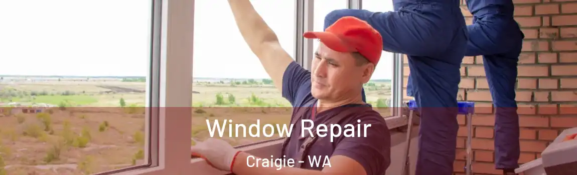  Window Repair Craigie - WA