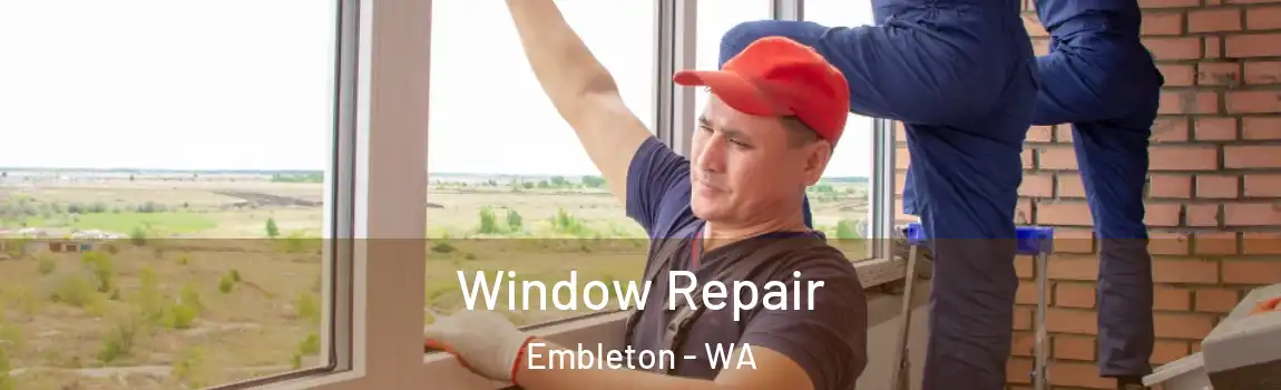 Window Repair Embleton - WA