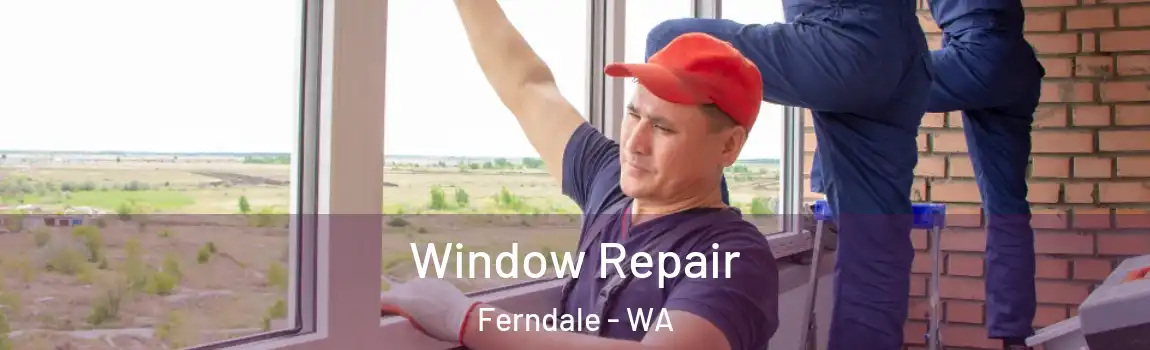 Window Repair Ferndale - WA