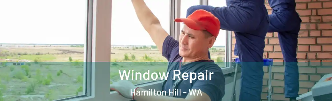  Window Repair Hamilton Hill - WA