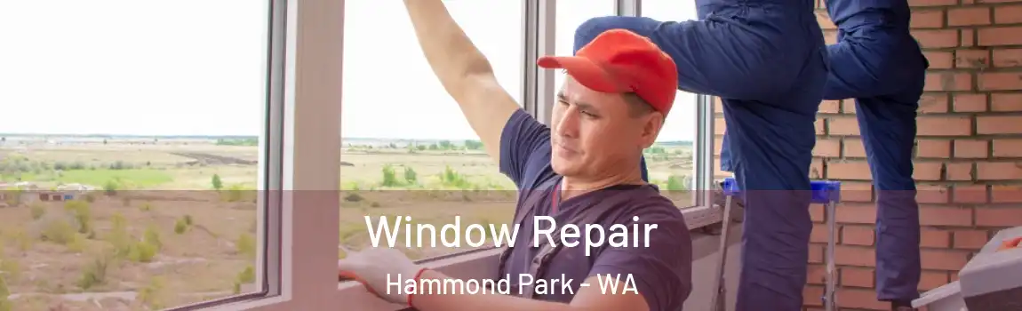  Window Repair Hammond Park - WA