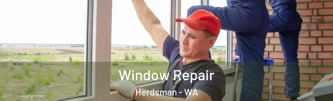 Window Repair Herdsman - WA