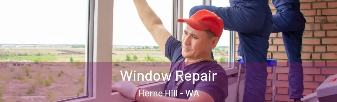 Window Repair Herne Hill - WA