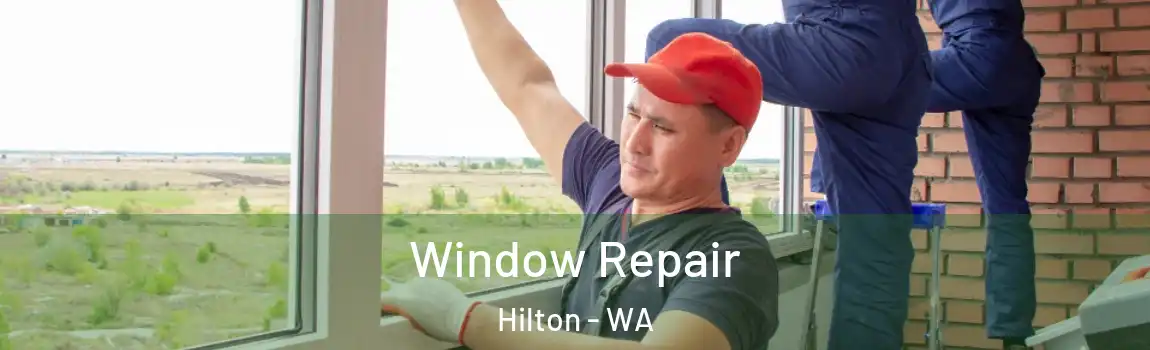 Window Repair Hilton - WA