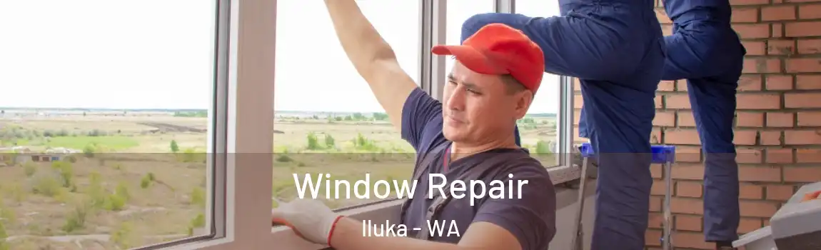 Window Repair Iluka - WA
