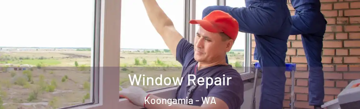 Window Repair Koongamia - WA