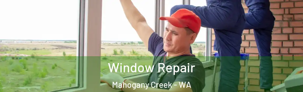 Window Repair Mahogany Creek - WA