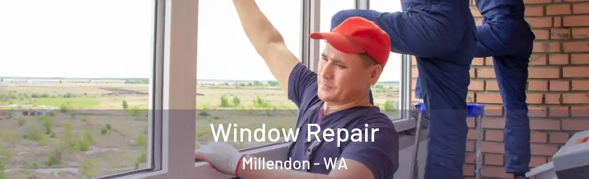 Window Repair Millendon - WA