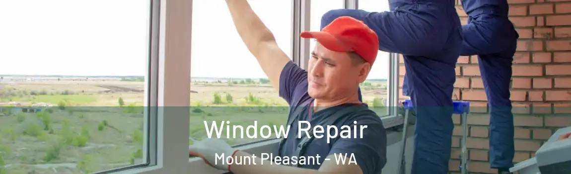 Window Repair Mount Pleasant - WA