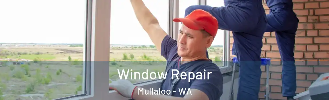 Window Repair Mullaloo - WA