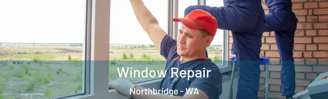 Window Repair Northbridge - WA
