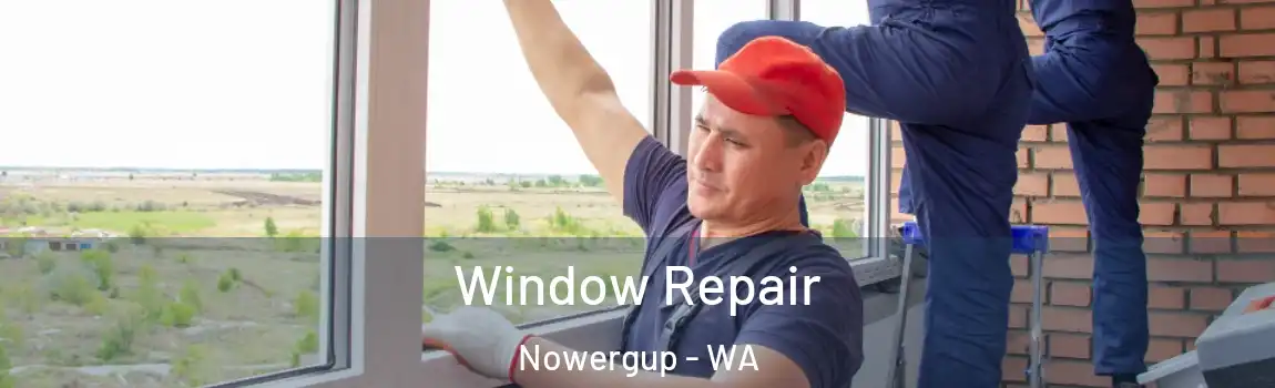 Window Repair Nowergup - WA