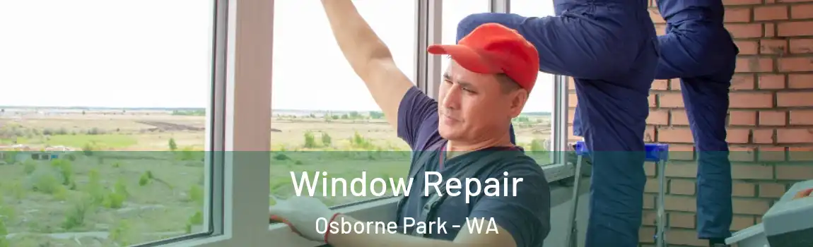 Window Repair Osborne Park - WA