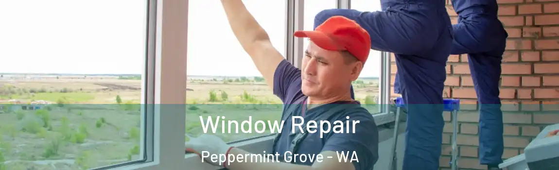 Window Repair Peppermint Grove - WA