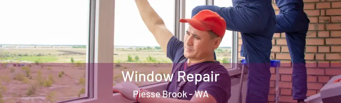 Window Repair Piesse Brook - WA