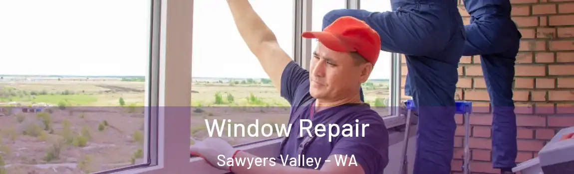 Window Repair Sawyers Valley - WA