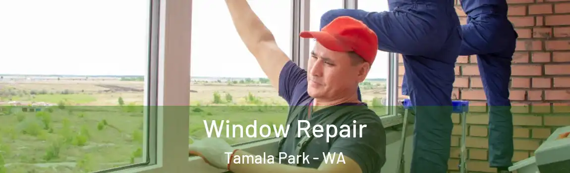 Window Repair Tamala Park - WA