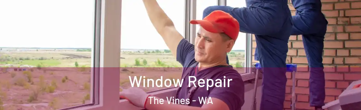 Window Repair The Vines - WA