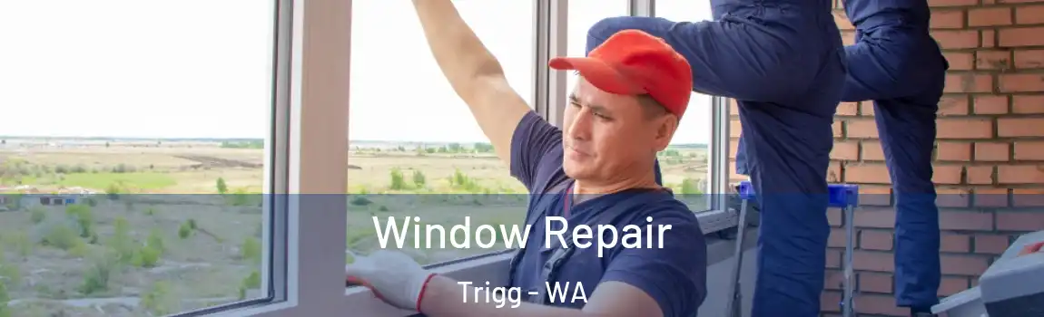 Window Repair Trigg - WA