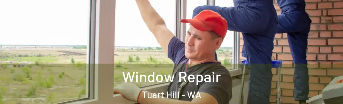 Window Repair Tuart Hill - WA