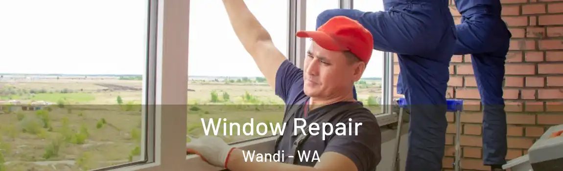Window Repair Wandi - WA