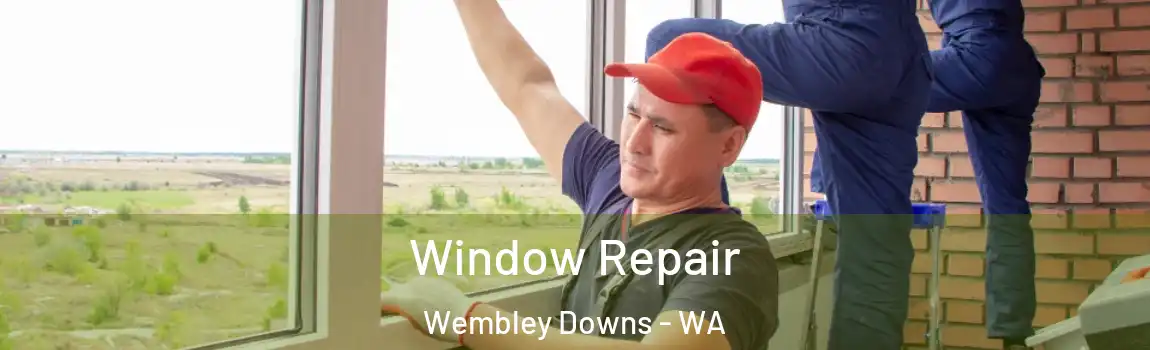 Window Repair Wembley Downs - WA