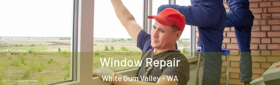 Window Repair White Gum Valley - WA