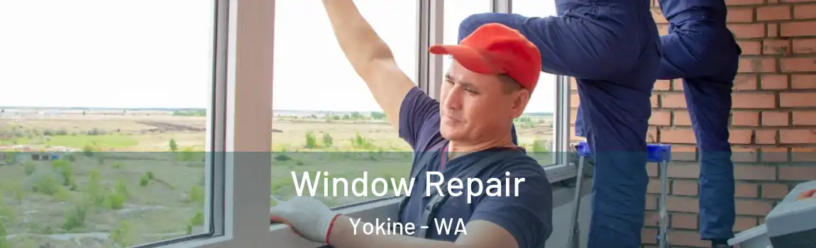 Window Repair Yokine - WA