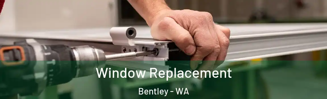 Window Replacement Bentley - WA