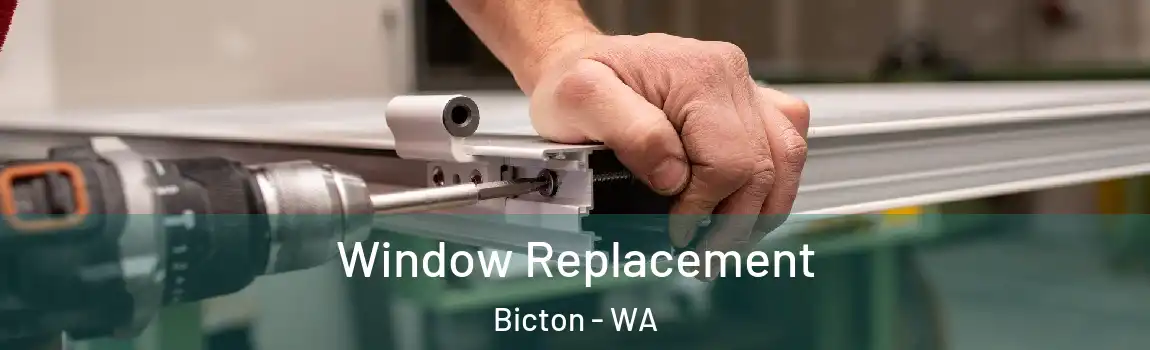 Window Replacement Bicton - WA