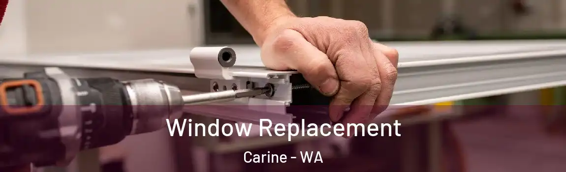 Window Replacement Carine - WA