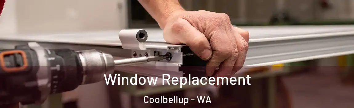 Window Replacement Coolbellup - WA