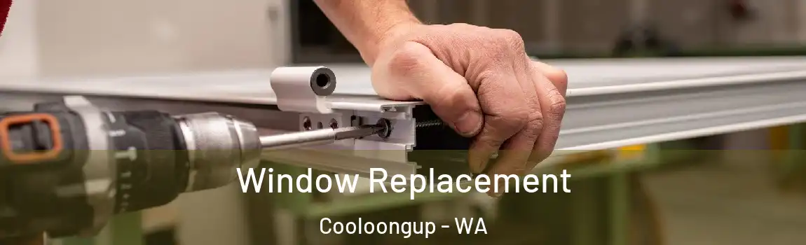 Window Replacement Cooloongup - WA