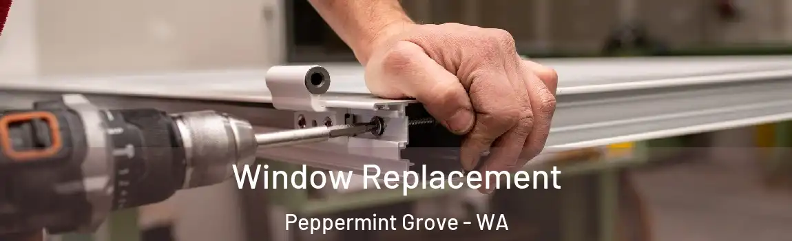 Window Replacement Peppermint Grove - WA