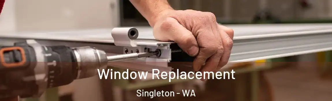Window Replacement Singleton - WA