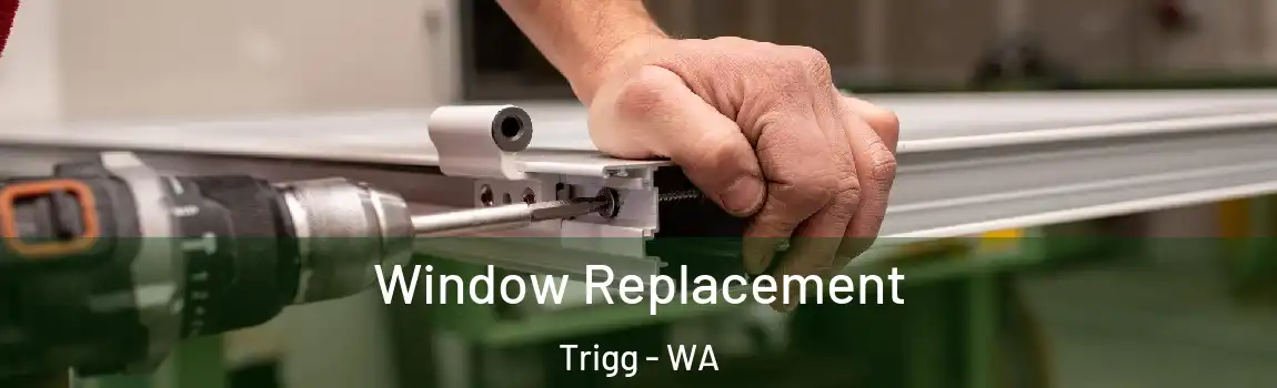 Window Replacement Trigg - WA