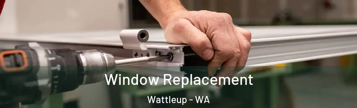 Window Replacement Wattleup - WA