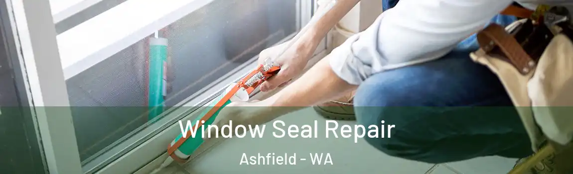  Window Seal Repair Ashfield - WA