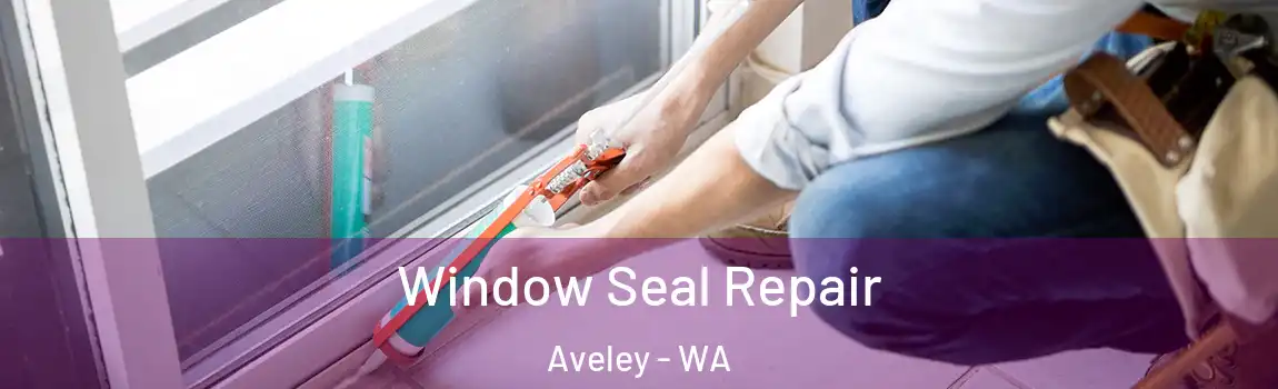 Window Seal Repair Aveley - WA
