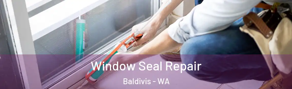 Window Seal Repair Baldivis - WA