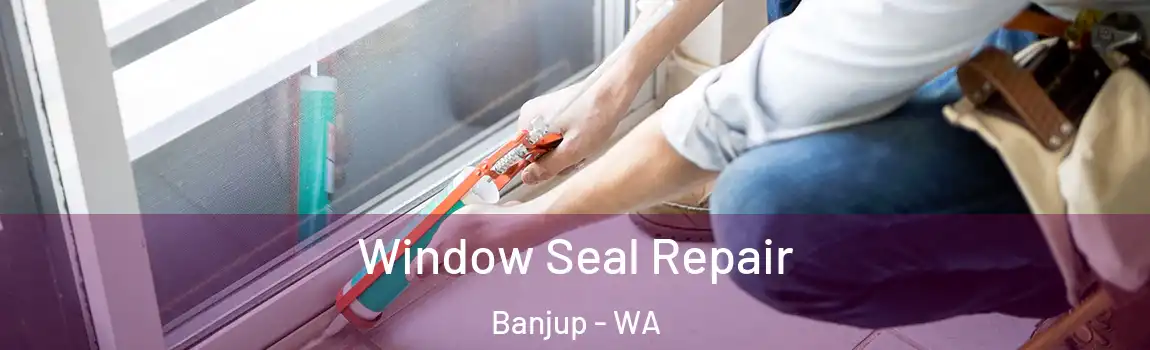 Window Seal Repair Banjup - WA