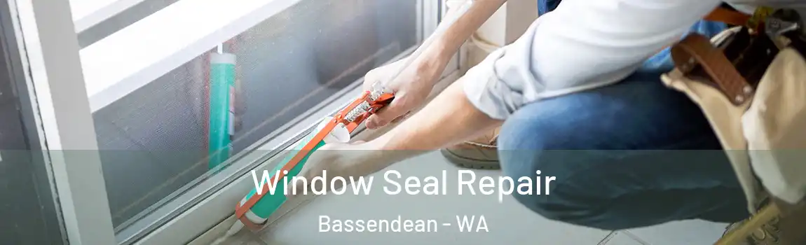 Window Seal Repair Bassendean - WA