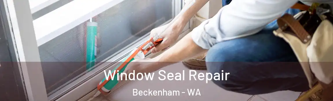 Window Seal Repair Beckenham - WA