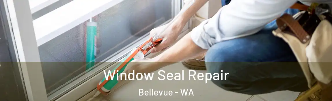 Window Seal Repair Bellevue - WA