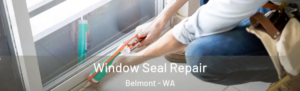 Window Seal Repair Belmont - WA