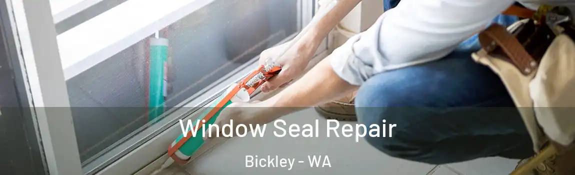 Window Seal Repair Bickley - WA