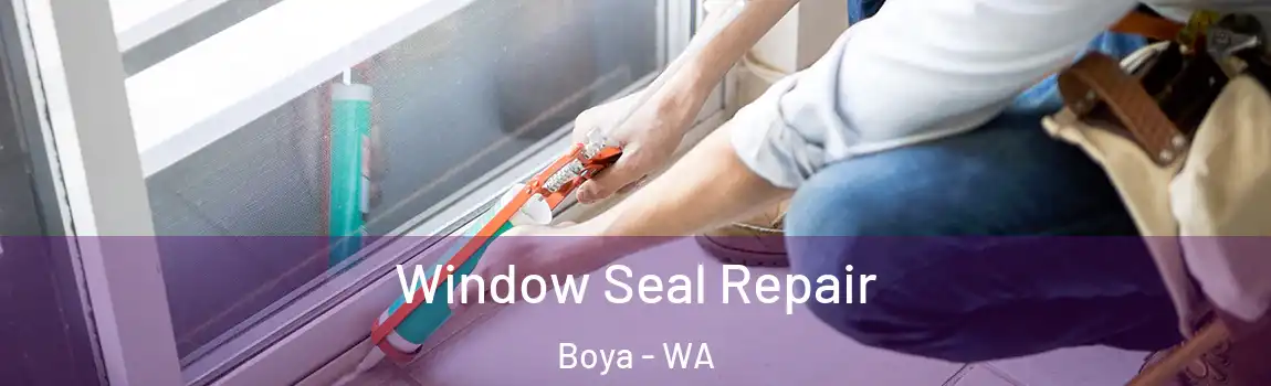 Window Seal Repair Boya - WA