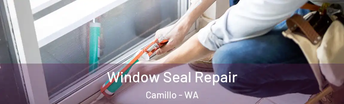  Window Seal Repair Camillo - WA